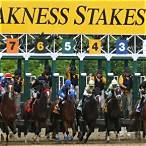 preakness stakes bet